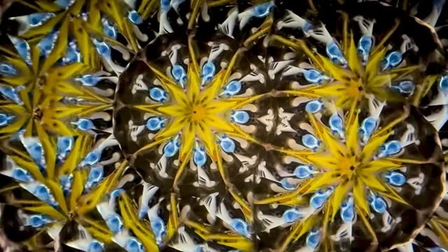 Link - 万華鏡の世界 Re